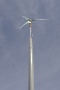 Wind