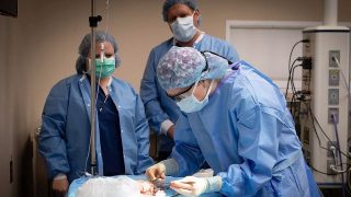 Nation’s longest single-site kidney chain passes 100