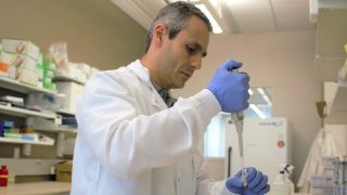 Auburn University researcher working to improve fertility in cattle