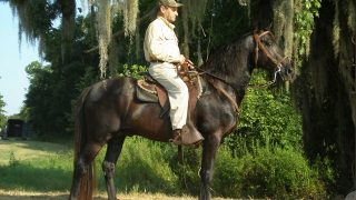 Alabama Legacy Moment: McCurdy Plantation Horse