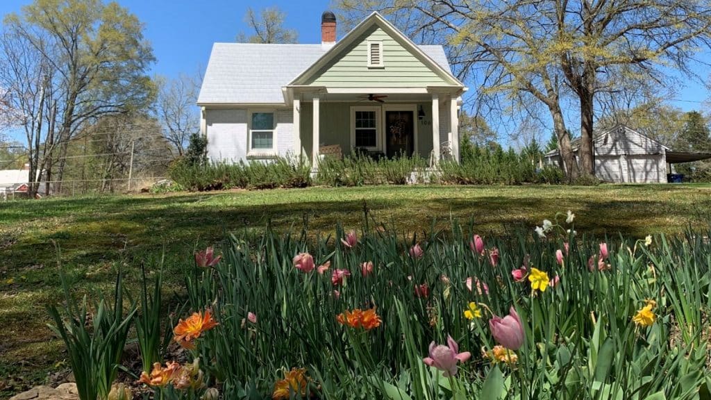 Spring photo gallery: Alabama in bloom this Easter weekend - Alabama ...