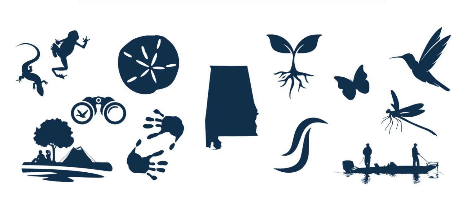 Outdoor Alabama Photo Contest opens Sept. 3 Alabama News Center